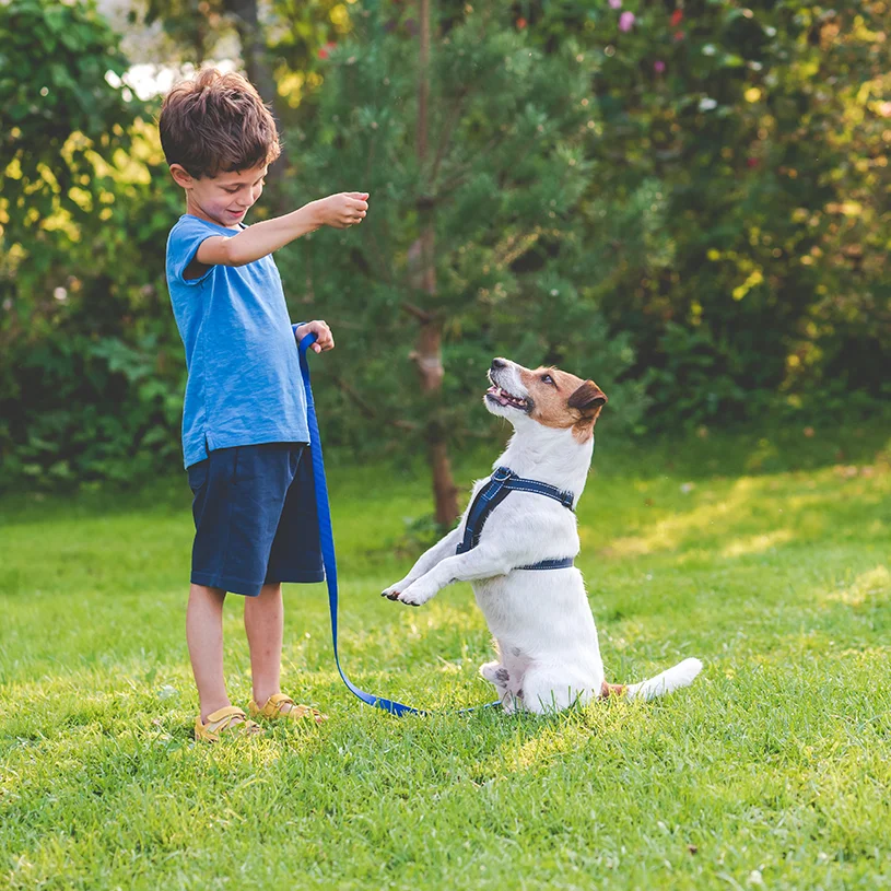 A boy plays with his dog outside in the grass.